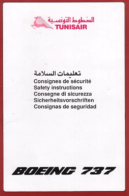 tunisair boeing 737 brown.jpg